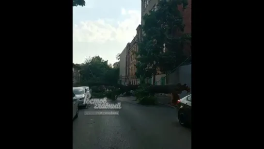 На Шаумяна 11 упало большое дерево 11.7.2018 Ростов-на-Дону Главный