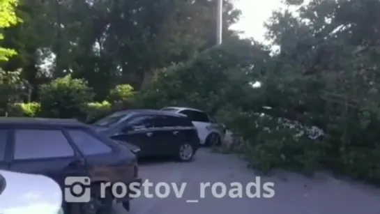 На Береговой дерево упало на машину 26.5.2018 Ростов-на-Дону Главный