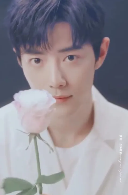 Xiao Zhan | Fan Edit Video №200