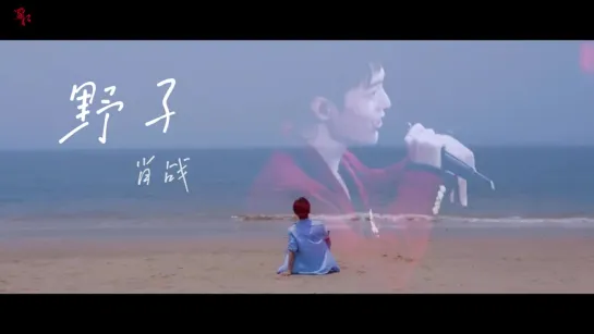 Xiao Zhan | Fan Edit Video №115,  “Wild Child”