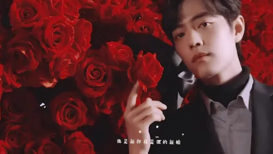 Xiao Zhan | Fan Edit Video №69