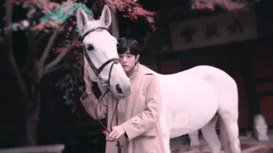 Xiao Zhan | Fan Edit Video №55