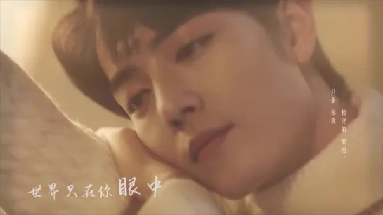 Xiao Zhan | Fan Edit Video №37