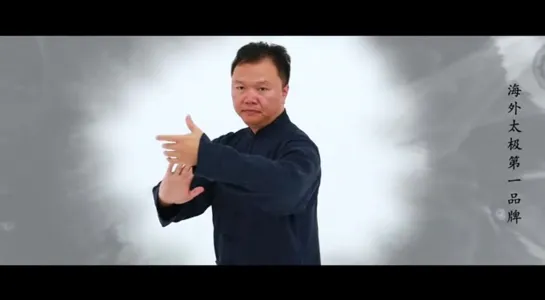 Dong_Style_Tai_Chi_with_some_added_effects__This_is_from_the_slow_form_simpli___