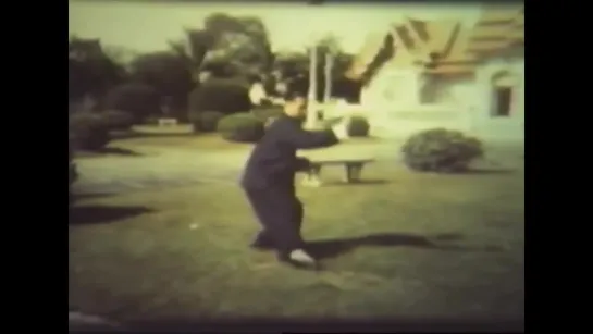 Dong Hu Ling 1953 Taijiquan 董虎岭 董氏太极拳