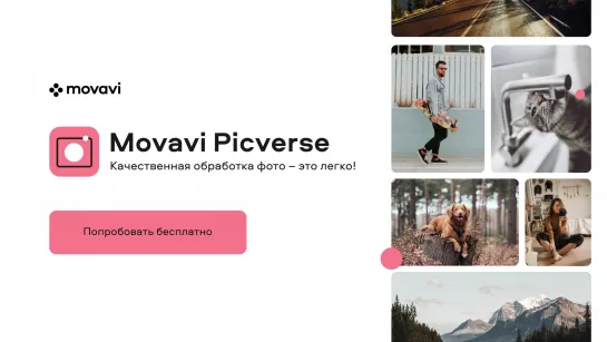 Movavi Picverse