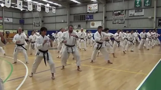 2014 JKAA Spring National Seminar