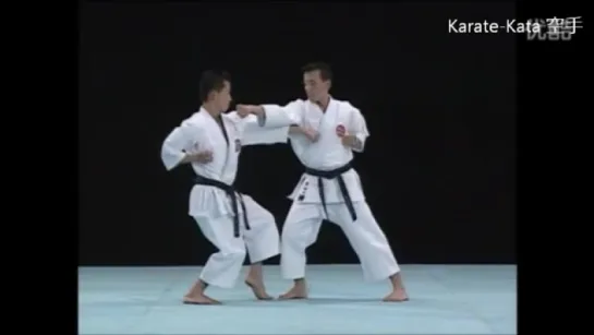 ALL KATA OF SHITORYU KARATE