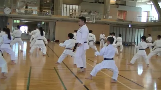 2017 JKA Seminar Karate by Daisuke Ueda @ Niigata part2