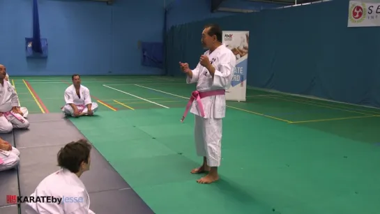 Yokota Kousaku karate Shotokan ASAI London seminar Part 1