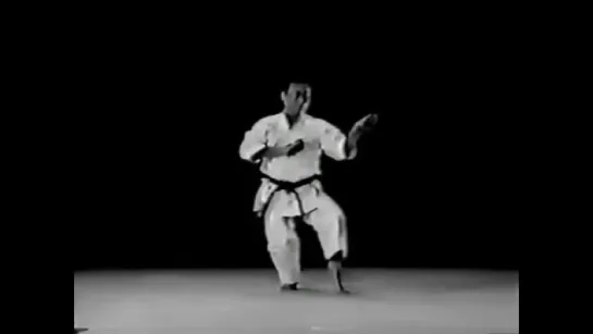 Ката и Бункай в Сито рю 1 Kata and Bunkai in Karate Shito ryu part1