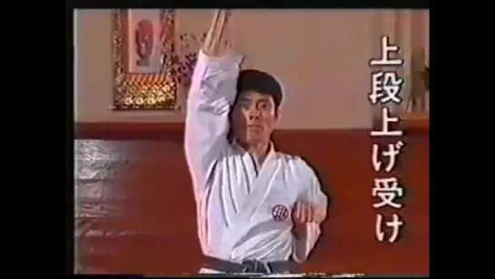 Шито рю Каратэ Базовая техника Shito Ryu Karate Basic technique