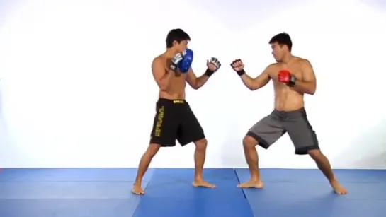 MMA_ Machida-Do Karate - 2. Striking Attacks and Takedowns