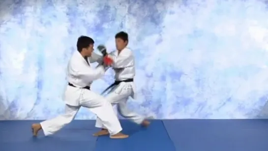 MMA_ Machida-Do Karate - 1. Movement and Fundamental Strikes