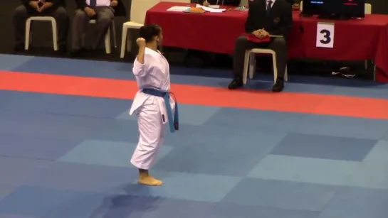 Championnats de France KATA TOULOUSE 2015 - KARATE