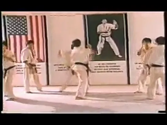 World Oyama Karate Instructional (Kyokushin) - Perfect Karate Part1-Eng