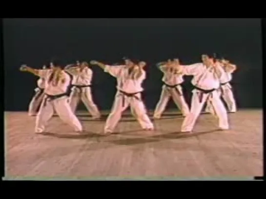 World Oyama Karate Instructional (Kyokushin) - Perfect Karate Part1-Eng