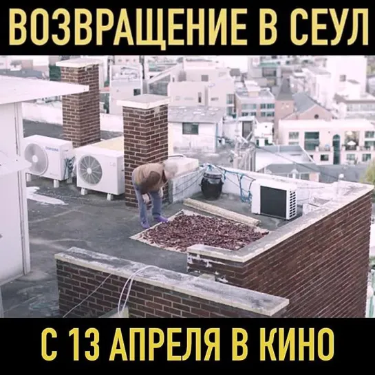 ВОЗВРАЩЕНИЕ В СЕУЛ | В КАРО С 13 апреля