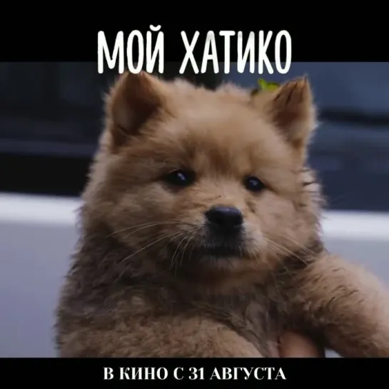 МОЙ ХАТИКО | В КИНО С 31 АВГУСТА