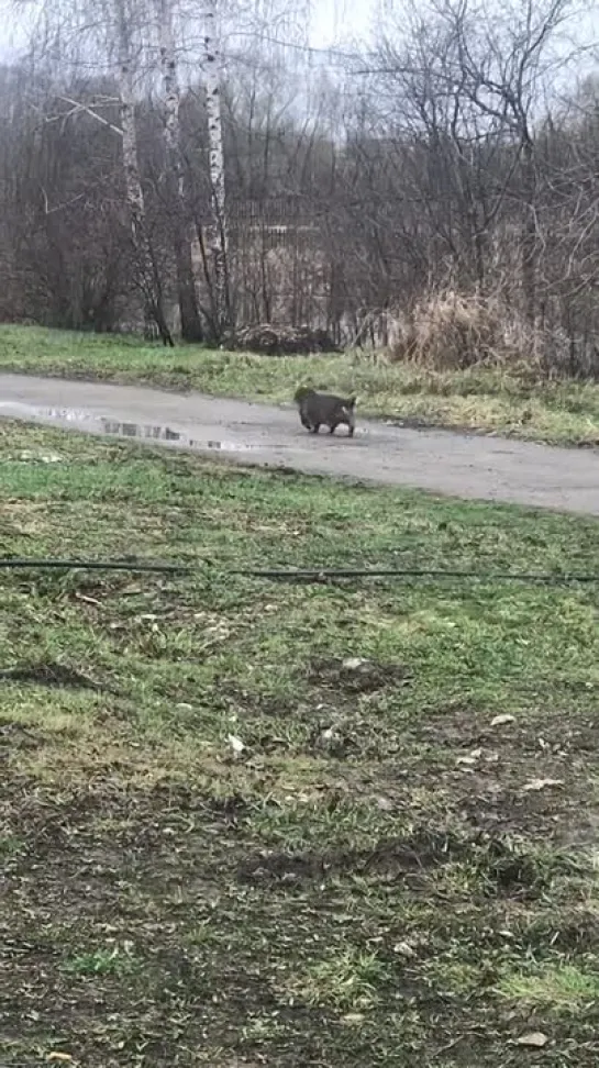 Когда вернулся домой, после лета у бабушки