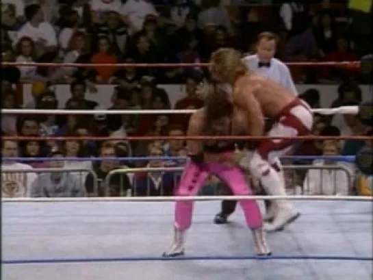 [Wrestling Museum]Bret Hart vs Shawn Michaels - 25/11/92