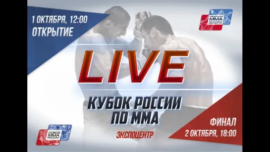 [Тест] Кубок России по MMA 2016