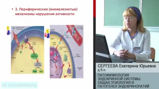 14. Патофизиология эндокринной системы