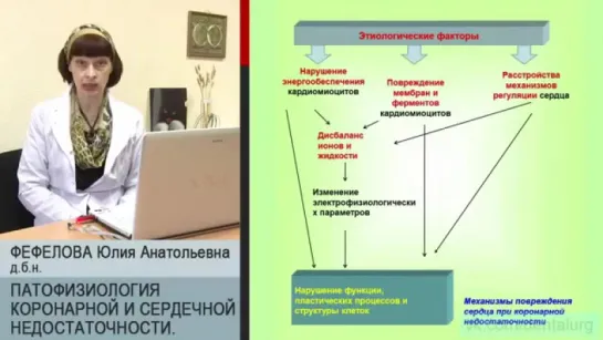 11. Патофизиология коронарной и сердечной недостаточности.