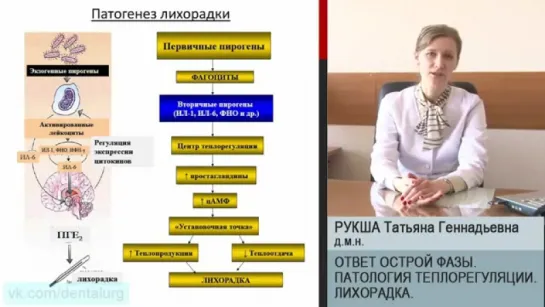 9. Ответ острой фазы  Патология теплорегуляции  Лихорадка