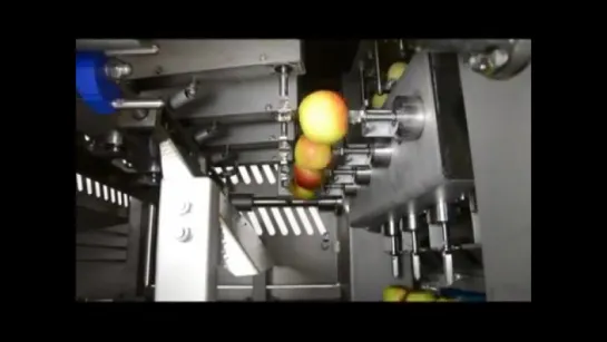 [Kronen AS16 apple processing machine]