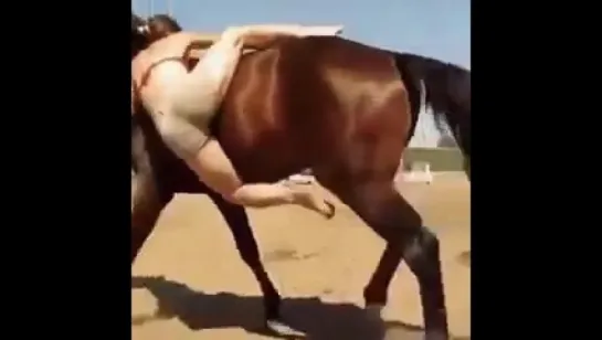 A Horse and a Gentleman