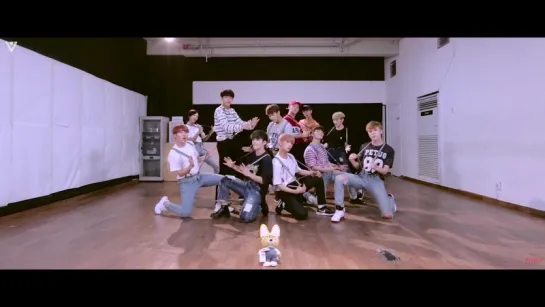 [SPECIAL VIDEO] SEVENTEEN(세븐틴) - 아주 NICE (VERY NICE) DANCE PRACTICE ver