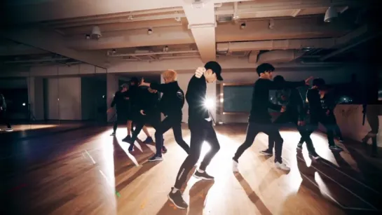 EXO_Monster_Dance Practice ver