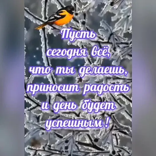 Доброе утро🌺