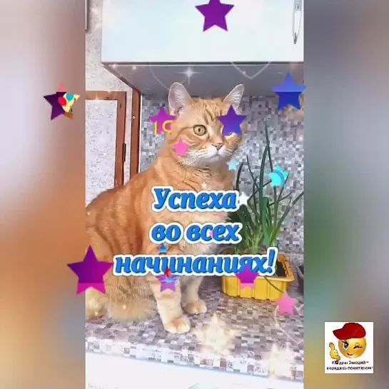 Доброе утро ✨✨✨