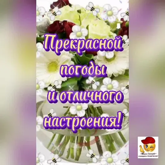 Доброе утро ✨✨✨