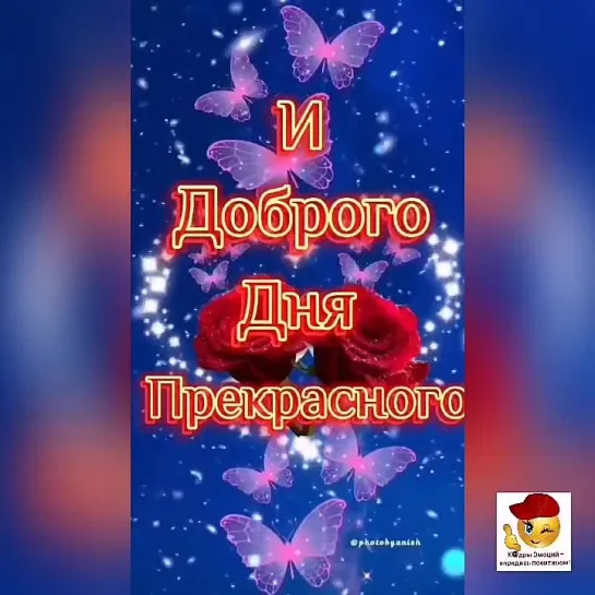 Доброе утро ✨✨✨