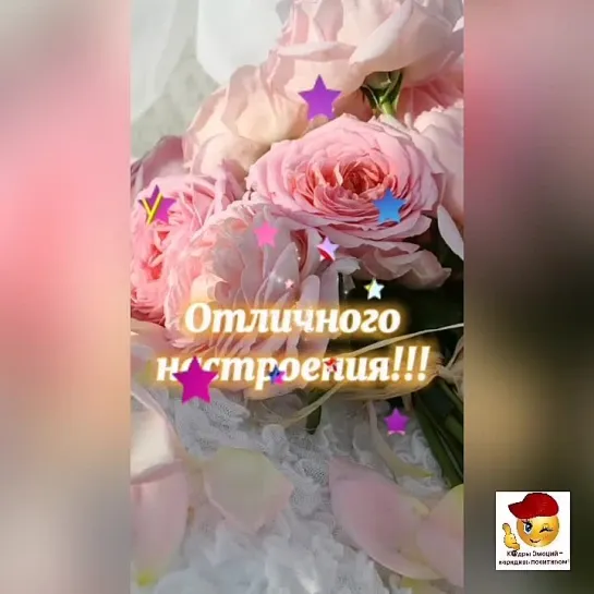 Доброе летнее утречко✨✨✨