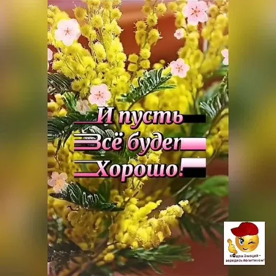 Доброе утро✨✨✨