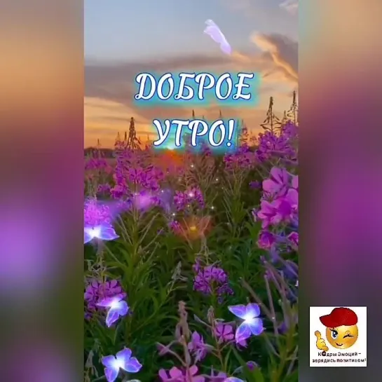 Доброе утро ✨✨✨