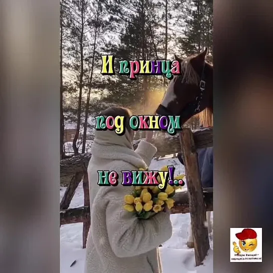 Весёлого утра🤩