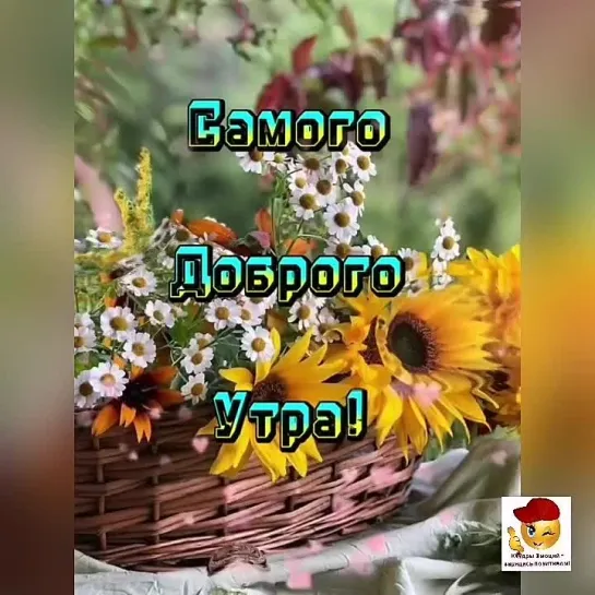 Доброе утро ✨✨✨