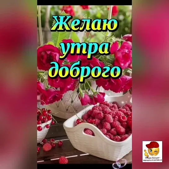 Доброе утро✨✨✨