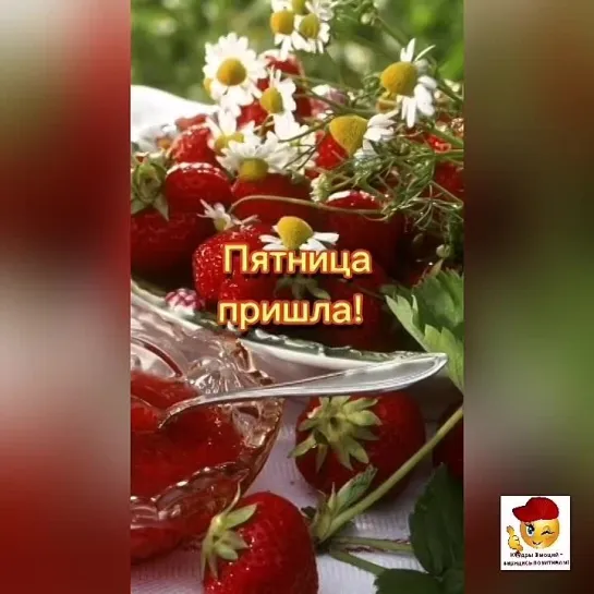 С пятницей🤩