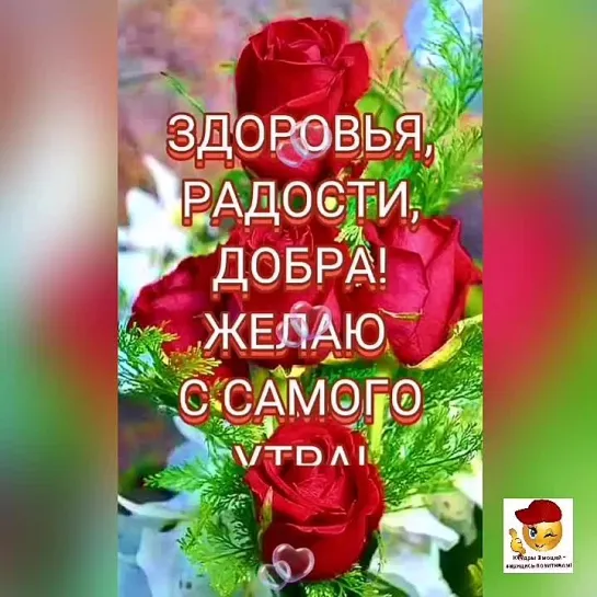 Доброе утро✨✨✨