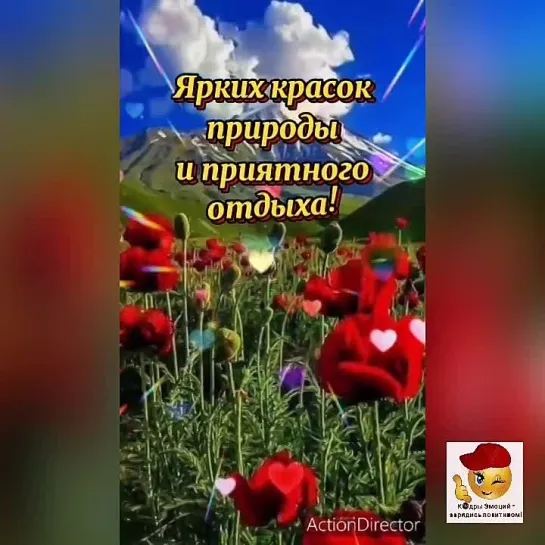 Доброе утро, июнь🥰