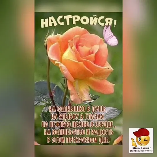 Доброе утро ✨✨✨