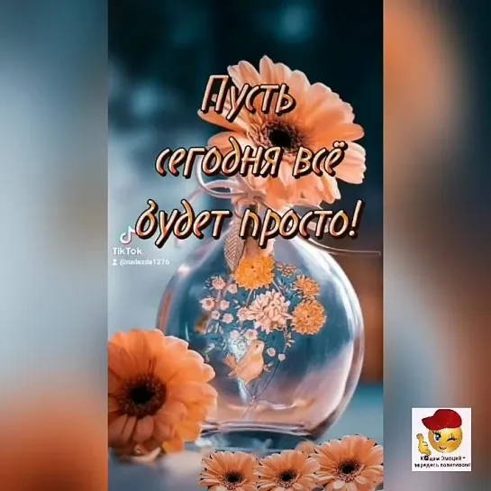 Доброе утро✨✨✨