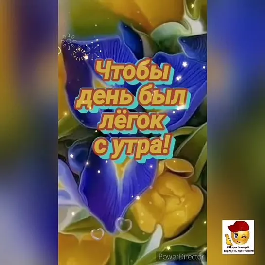 Доброе утро✨✨✨