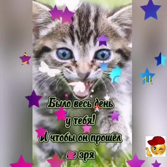 Доброе утро✨✨✨